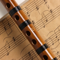 Флейта Music Life 48 см, бамбук, тональность D Флейта Music Life 48 см, бамбук, тональность D