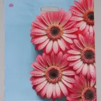 Пакет подарочный Герберы Шанис  45 х 38 см 55 мкм