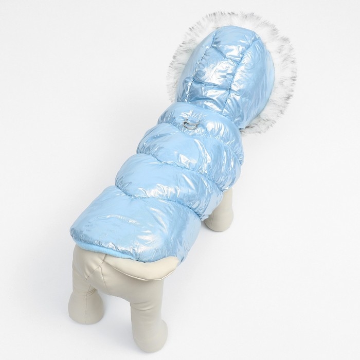 Куртка для собак Куртка для собак "Легкость", размер XS (ДС 19, ОГ 28, ОШ 19 см, до 3 кг), голубая