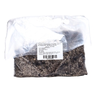 Георгина Декоративная "Хэтвейф", р-р I, 1 шт, Весна 2024 ЭКОНОМ 3281618