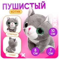 Игровой набор &laquo;Любимый питомец&raquo;, котик