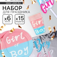 Набор одноразовой посуды &laquo;Гендер Пати&raquo;, 15 предметов