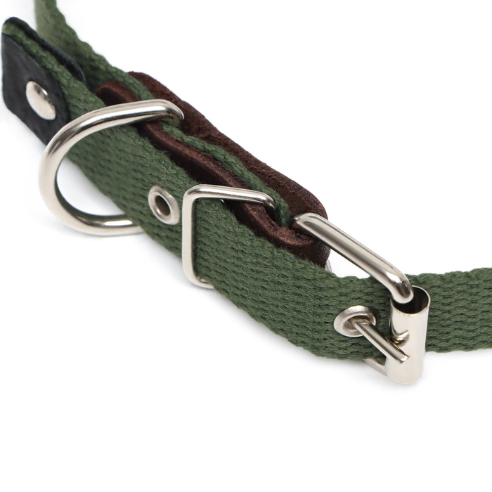 Ошейник брезентовый однослойный, 52 х 2 см, ОШ 25-45 см, тёмно-зелёный