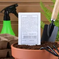 Семена Морковь &laquo;Лосиноостровская 13&raquo;, 2 г, &laquo;Аэлита&raquo;