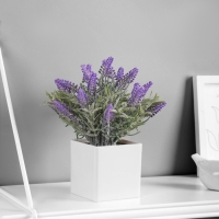 Бонсай "Лаванда экстра галант" 8х18 см, сиреневый