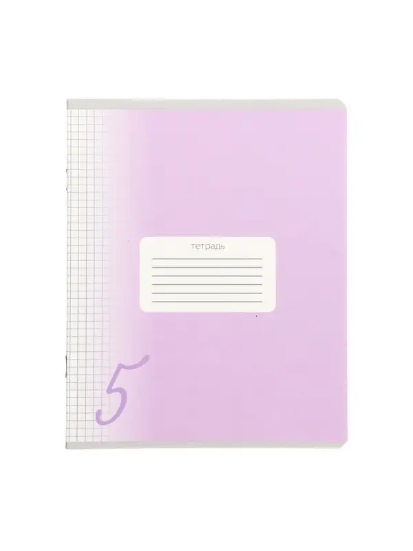 Комплект тетрадей из 10 штук, 24 листа в клетку Calligrata "Пятёрка", обложка мелованный картон, ВД-лак, блок офсет, 5 видов по 2 штуки