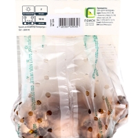 Гладиолус крупноцветковый &laquo;Джестер&raquo;, луковица цветов в пакете с перфорацией, р-р 10/12, 10 шт.