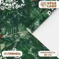 Бумага упаковочная новогодняя глянцевая &laquo;Еловые ветки&raquo;, 50&times;70 см