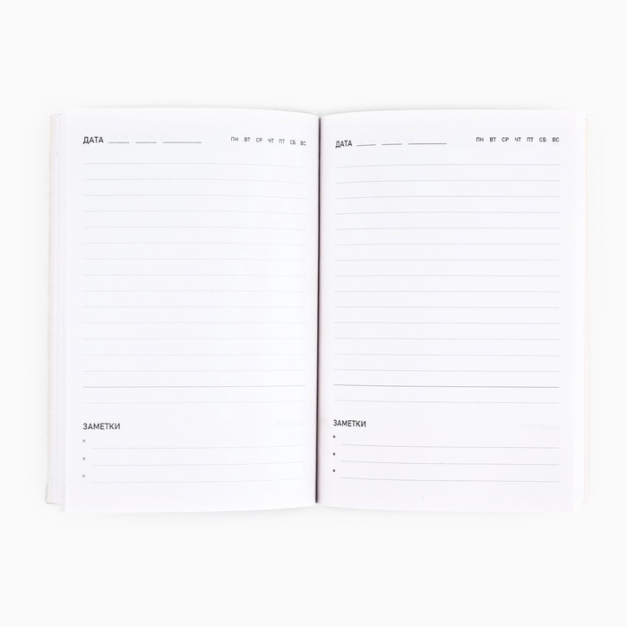 Подарочный набор &laquo;Настоящий мужчина&raquo;: обложка для паспорта ПВХ и ежедневник А5 80 листов