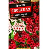 Семена цветов Примула японская, смесь окрасок Мн, Ц/П,20 шт.