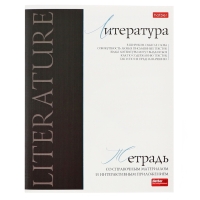 Комплект предметных тетрадей 48 листов, 10 предметов Hatber &laquo;Буквица&raquo;, обложка мелованный картон, матовая ламинация, тиснение фольгой, с интеракт...