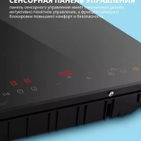 Индукционная варочная панель CIH301, 2 конфорки, инвертор