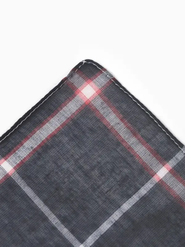 Платки носовые мужские Экономь и Я "Клетка" 38*38 см, (набор 10 шт), рис. МИКС,100% пэ