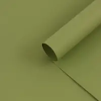 Бумага упаковочная крафт, двухсторонняя, "Таёжный лес",50 х 68см&plusmn;5%