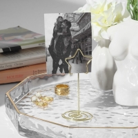 Ценникодержатель с зажимом &laquo;Звезда&raquo;, 3,3&times;3,3&times;8,3 см, цвет золото