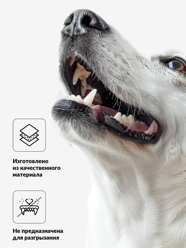 Игрушка пищащая "Гантель большая" для собак, усиленная, 19 см, микс цветов