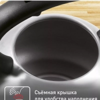 Чайник для плиты из нержавеющей стали C7922024, 3 л