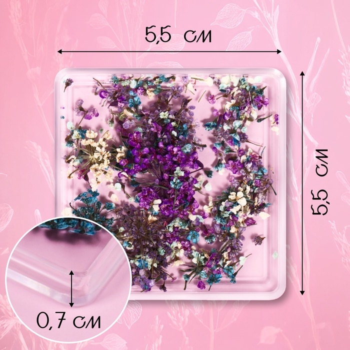 Сухоцветы для декора ногтей, в футляре, вид МИКС Сухоцветы для декора ногтей, в футляре, вид МИКС