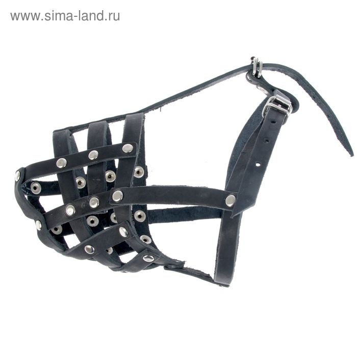 Намордник кожаный Зооник №С, стаффорд (длина по носу 9,5 см, обхват морды 32 см), микс Намордник кожаный Зооник №С, стаффорд (длина по носу 9,5 см, обхват морды 32 см), микс