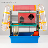 Клетка для грызунов Мини, двухъярусная, с полкой, домом и микс лабиринтов Клетка для грызунов Мини, двухъярусная, с полкой, домом и микс лабиринтов