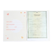 Папка для свидетельства о рождении &laquo;Медвежонок&raquo;, 23,5 х 31,5 см.