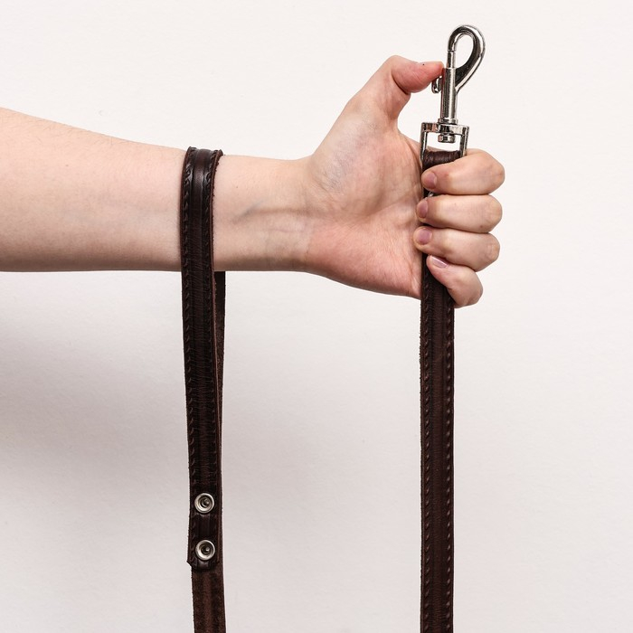 Поводок кожаный однослойный тиснёный, удлиненный, 2 м х 1,6 см коричневый Поводок кожаный однослойный тиснёный, удлиненный, 2 м х 1,6 см коричневый