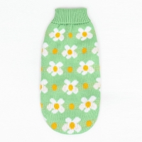 Свитер "Ромашки", размер M (ДС 30, ОШ 27, ОГ 40 см), зелёный Свитер "Ромашки", размер M (ДС 30, ОШ 27, ОГ 40 см), зелёный