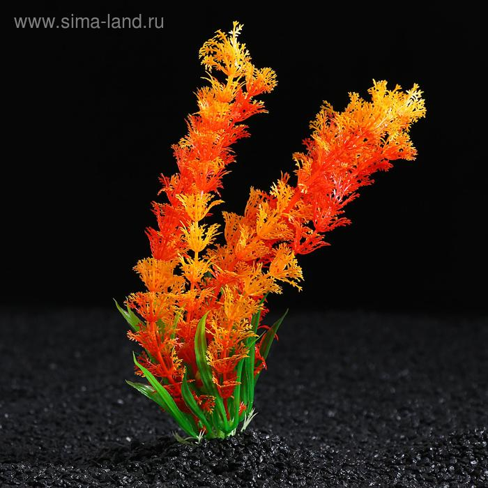 Растение искусственное с распылителем, 14 х 14 х 20 см Растение искусственное с распылителем, 14 х 14 х 20 см