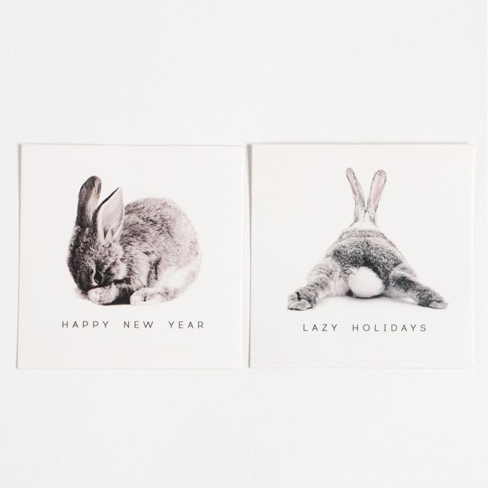 Новогодний подарочный набор "Зайка", варежки р-р 19 и аксессуары