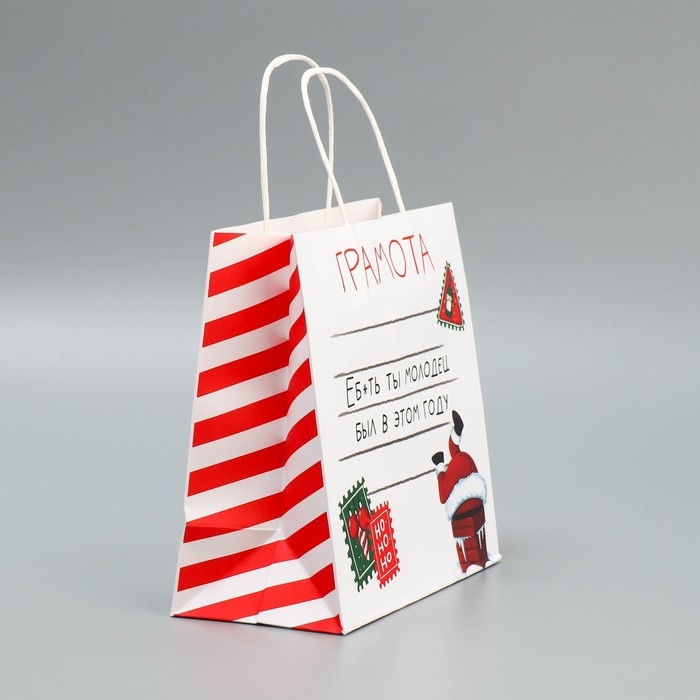 Пакет подарочный новогодний крафтовый &laquo;Молодец&raquo;, 22 х 22 х 11 см, Новый год
