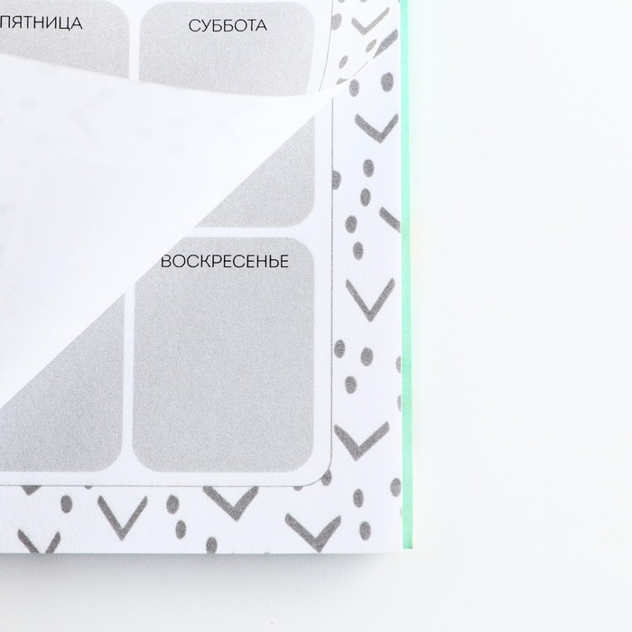 Планер с отрывными листами, 50 л. 17х9см &laquo;Тюльпаны&raquo;