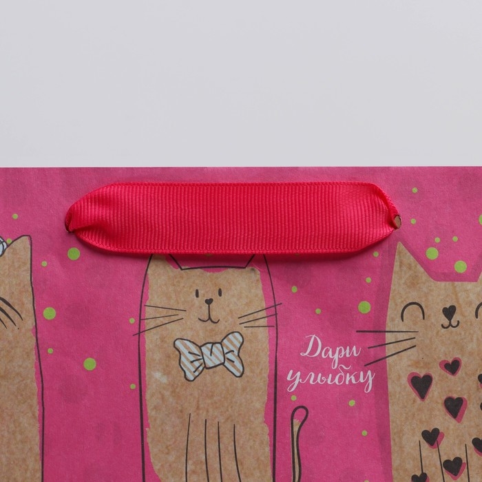 Пакет подарочный крафтовый вертикальный, упаковка, &laquo;Милые котики&raquo;, ML 23 х 27 х 8 см