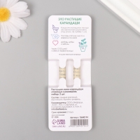 Растущие подарочные карандаши mini "Ромашка + Лаванда" набор 2 шт.