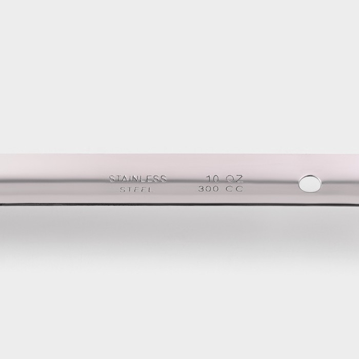 Половник из нержавеющей стали Доляна Everyday, 250 мл, 44&times;10,5 см, цвет серебряный