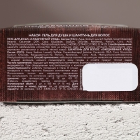 Подарочный набор косметики &laquo;Богатства и успеха&raquo;, гель для душа и шампунь для волос, 2 х 100 мл, Новый Год