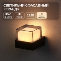 Светильник фасадный &laquo;Гранд&raquo;, FSD-084, 5 Вт, 3000К, IP65, 220 В, металл, черный