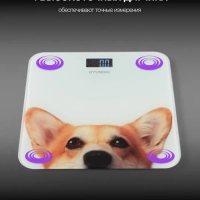 Весы напольные электронные H-BS03671 макс.180кг Весы напольные электронные H-BS03671 макс.180кг