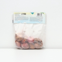 Гладиолус примуловидный &laquo;Атом&raquo;, луковица цветов в пакете с перфорацией, р-р 10+, 7 шт.