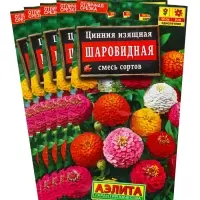 Набор семян Цинния Шаровидная, смесь окрасок, О, 5 шт.