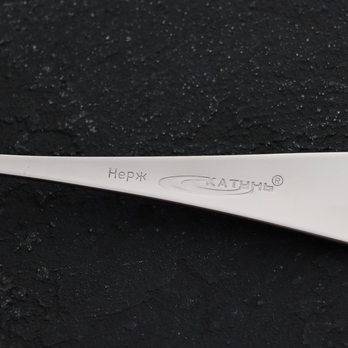 Ложка столовая из нержавеющей стали &laquo;Классика&raquo;, длина 20.5 см, толщина 2 мм