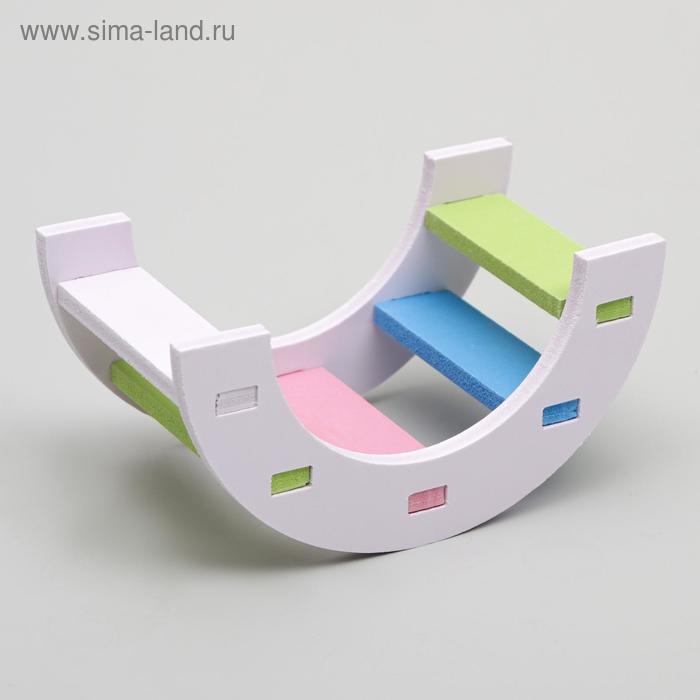 Лесенка для грызунов полукруглая, микс цветов Лесенка для грызунов полукруглая, микс цветов