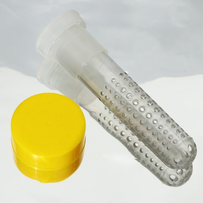 Бутылка для воды &laquo;Лето, солнце, спорт&raquo;, 500 мл