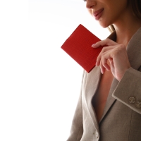 Обложка для автодокументов, цвет красный Обложка для автодокументов, цвет красный