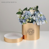 Коробка подарочная шляпная, упаковка, &laquo;Present for you&raquo;, золотая, 15 х 15 х 15 см