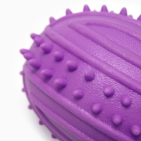Игрушка жевательная "Граната", TPR, 10 см, фиолетовая