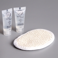 Набор для отелей (шампунь, гель для душа и мочалка) Набор для отелей (шампунь, гель для душа и мочалка)