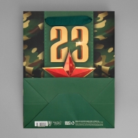 Пакет подарочный ламинированный вертикальный, упаковка, &laquo;С 23 февраля&raquo;, MS 18 х 23 х 10 см