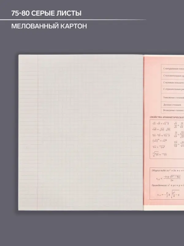 Тетрадь предметная 48 листов в клетку Calligrata &laquo;3D. Алгебра&raquo;, серые листы