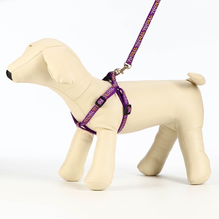 Комплект Комплект "Звёздные косточки", ширина 1 см, поводок 120 см, шлейка 23-35 см, фиолетовый