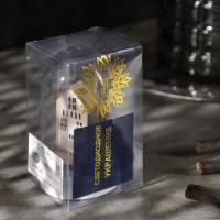 Светодиодная фигура под куполом &laquo;Дед Мороз с мешком&raquo; 6 &times; 9.5 &times; 6 см, дерево, батарейки LR1130х3 (в комплекте), свечение тёплое белое